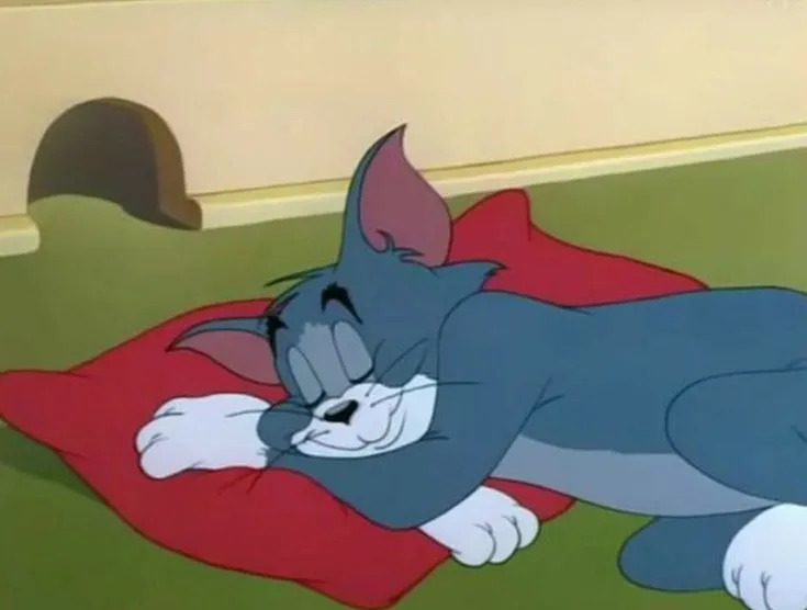 Meme Tom ngủ trên chiêc gối êm ái