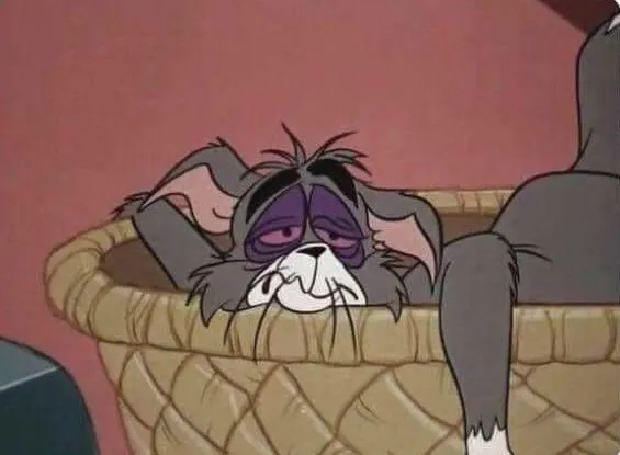 Ảnh Tom ngủ gật lừ đừ cực thú vị