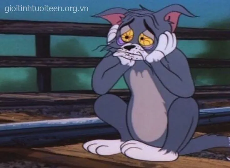 Hình mèo Tom khóc ấm ức, gương mặt đầy thất vọng.