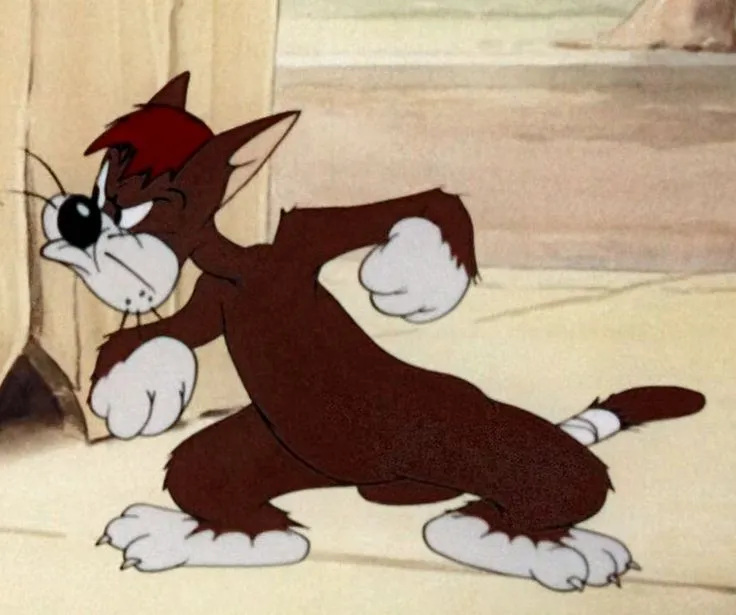 Ảnh mèo đen bực dọc cáu kỉnh đầy cảm xúc