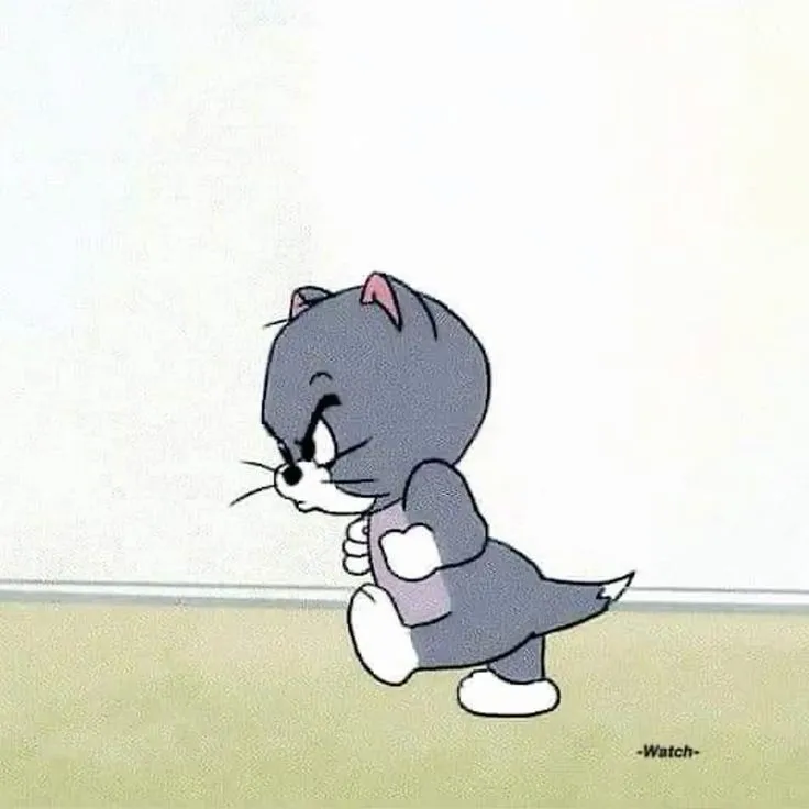 Ảnh chế mèo Tom nhỏ cau có, bực bội nhưng vẫn gây cười