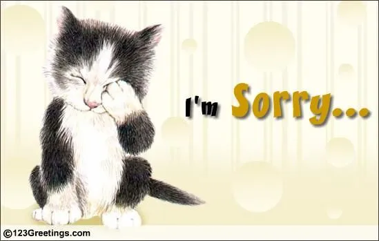 Meme mèo mặt xị xuống đầy hối hận