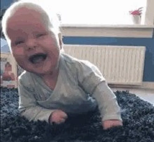 Meme nằm cười ngây ngô nhưng cực đáng yêu.