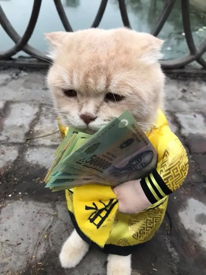 Meme ôm tiền đầy tay không biết giấu đâu