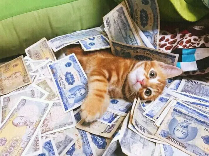 Cười giòn tan khi nhìn ví tiền căng phồng