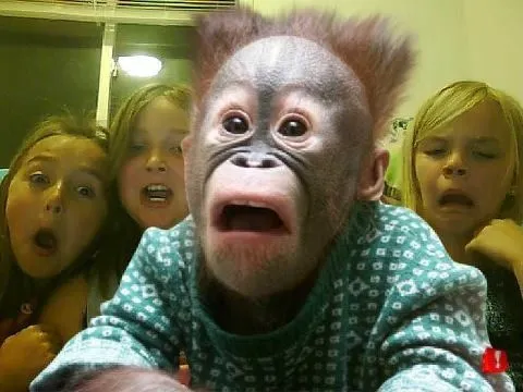 Meme bất ngờ ánh mắt sáng lóa cực hài