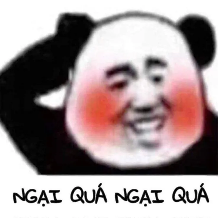 Meme gấu trúc ngượng ngùng gãi đầu hài hước dễ thương