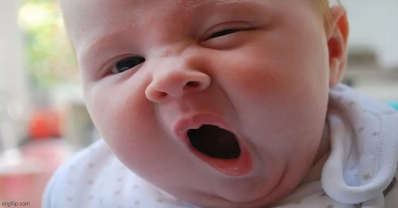 Ảnh chế ngáp gắn liền với sự thiếu ngủ