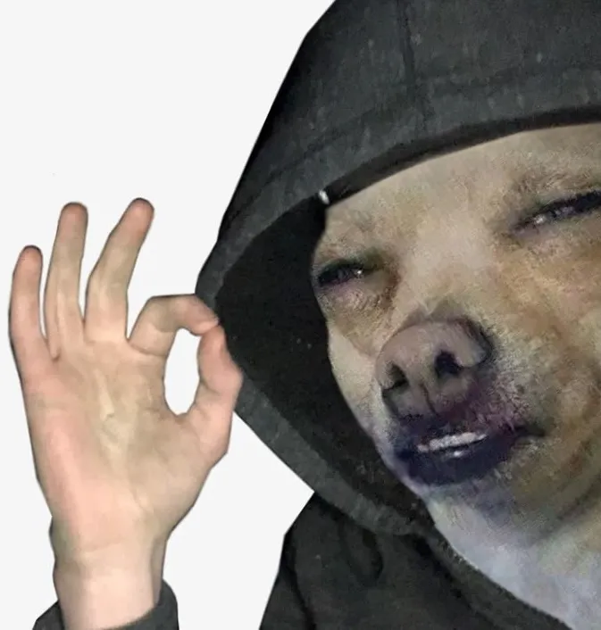 Ảnh chế chú chó giơ tay ra hiệu oke đồng ý cực ngầu