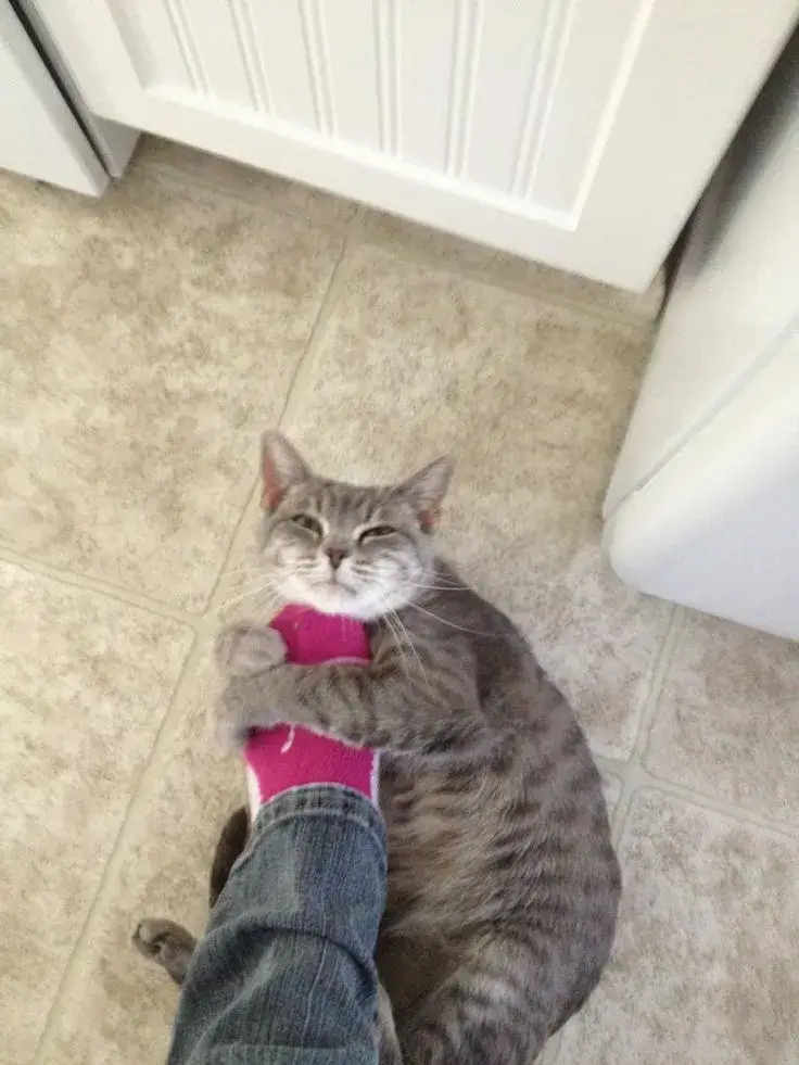 Hình ôm chân lầy lội