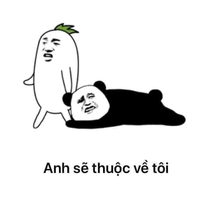 Ảnh chế Meme Ôm Chân vui nhộn thể hiện sự níu kéo, bám dính đáng yêu