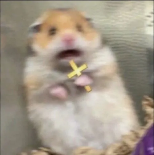 Meme chuột sợ hãi cầm thánh giá