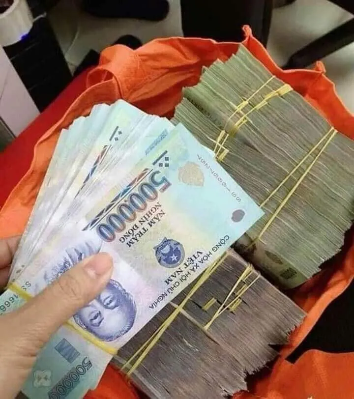 Ngồi đếm tiền quên ăn quên ngủ say mê