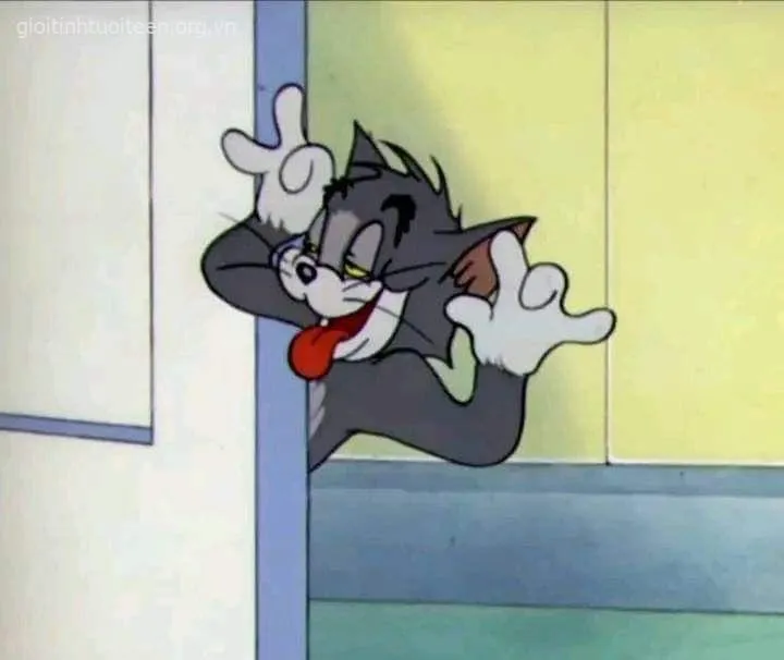 Hình Tom tinh nghịch mỉm cười đầy bí ẩn.