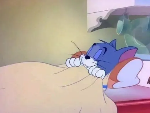 Meme mèo Thomas đang ngủ