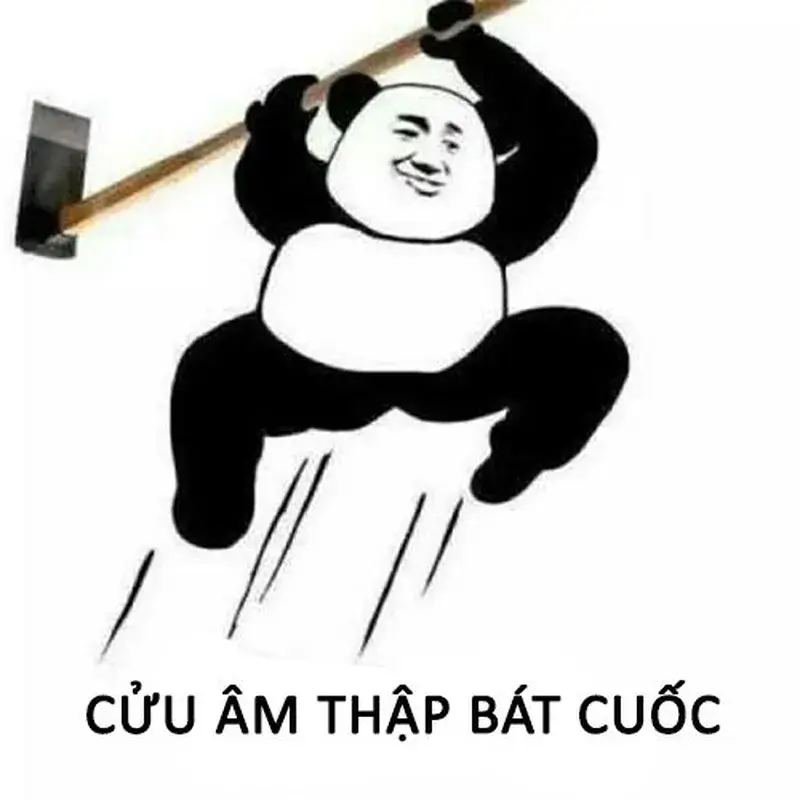 Meme gấu trúc tức giận, cầm cuốc bổ nhào
