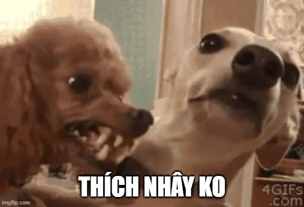 Meme tức giận đỏ mặt, nhìn dễ thương.