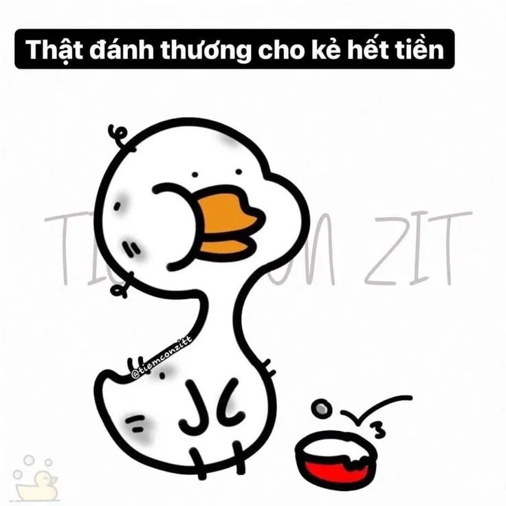 Vịt khắc khổ phải ra đường xin ăn