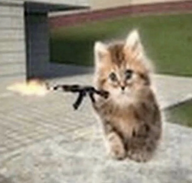 Meme hài giận dữ lan mạnh Facebook