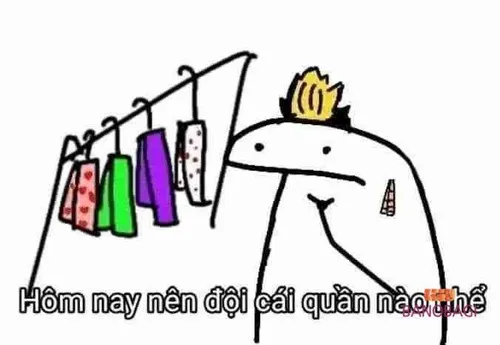 Ảnh vui ngượng ngùng lan TikTok khiến dân mạng cười