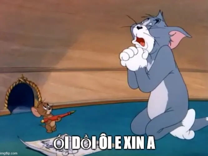 Mèo Tom quỳ lạy xin tha thứ