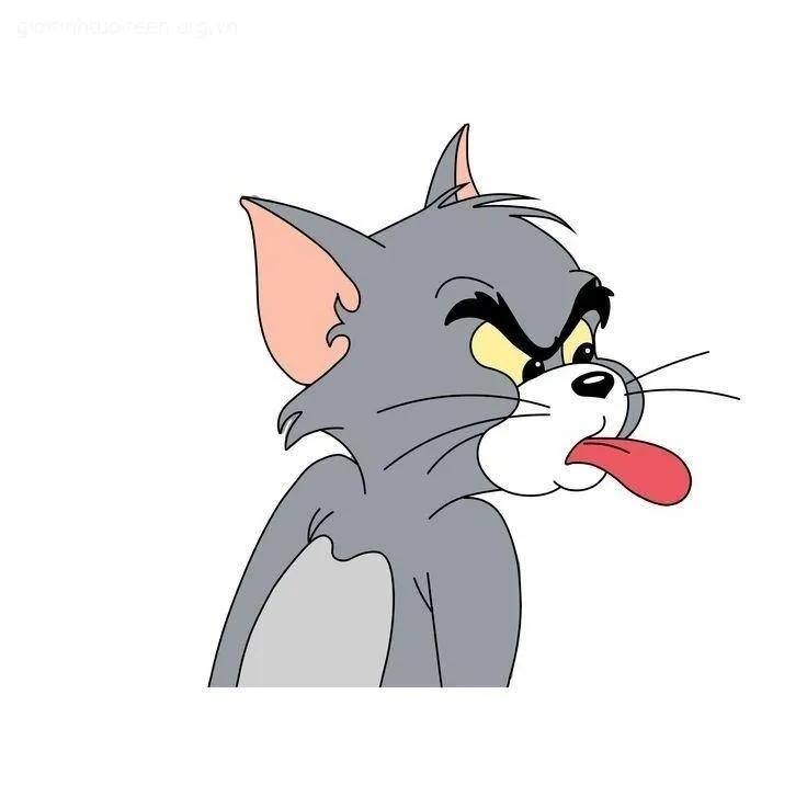 Hình Tom giật mình hốt hoảng khi nghe tiếng động.