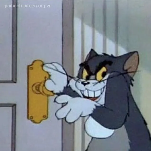 Hình Tom bất lực nằm dài trên sàn nhà mệt.