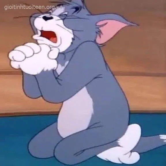 Hình Tom căng thẳng mồ hôi chảy dài trên má.