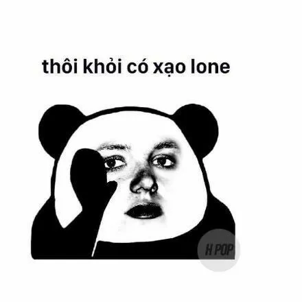 Hình chế hài gấu troll nhẹ nhưng duyên