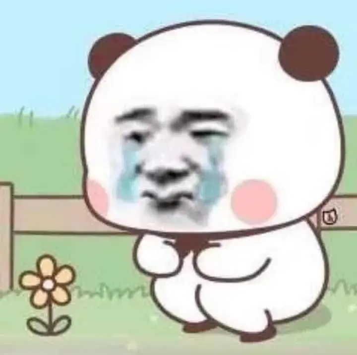 Gấu trúc Weibo tủi thân chơi với bông hoa