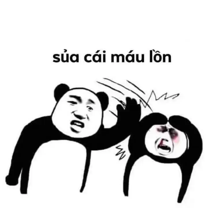 Ảnh vui gấu hài hước lan khắp Facebook