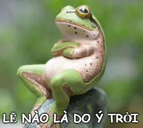 Meme ý trời nhìn mà bất lực ghê