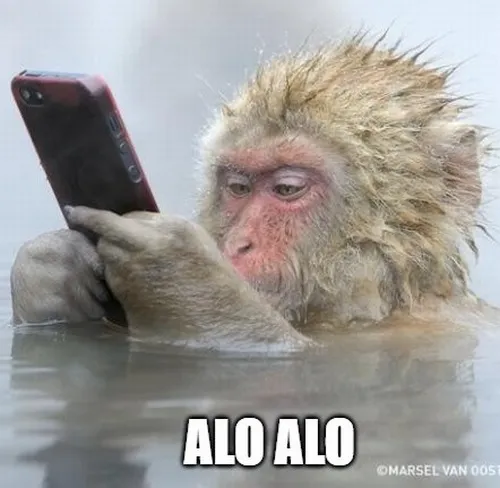 Khoảnh khắc alo đầy drama khó đỡ