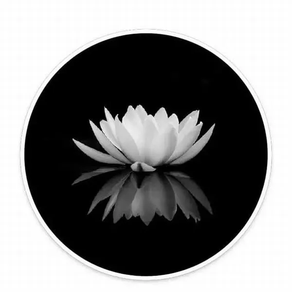 Ảnh profile đen trắng lặng và trang nghiêm