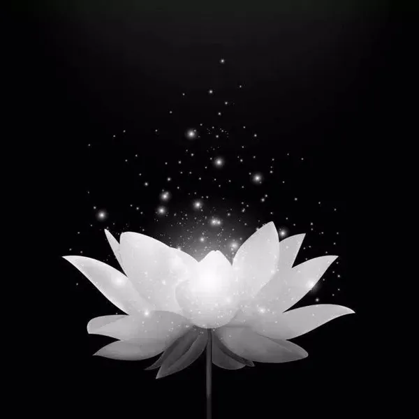 Hình profile báo tin tang, khung trắng đen