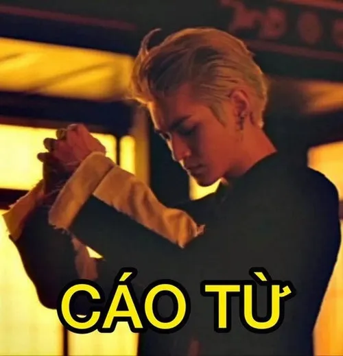 Bộ 30+ ảnh Meme Cáo Từ khi nói lời cáo biệt đậm chất hiệp khách giang hồ
