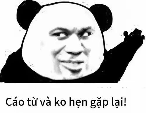 Meme gấu trúc cáo từ chắp tay cúi đầu trước màn hình Zoom