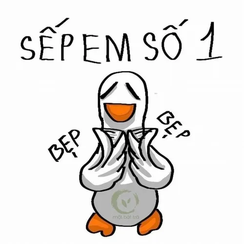 Hình vịt bựa và cơn nghiện “cạp cạp” của dân TikTok