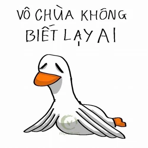 Tại sao dân mạng lại mê meme vịt đến vậy