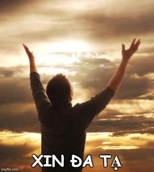 Hình chế gương mặt nghìn tạ siêu buồn cười