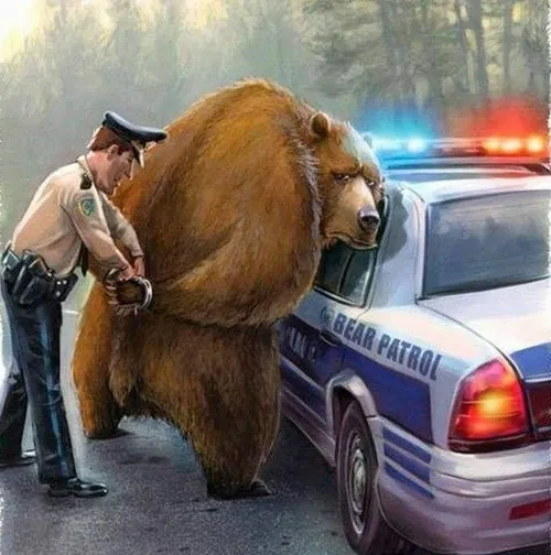 Meme troll gấu mếu đáng yêu khó đỡ