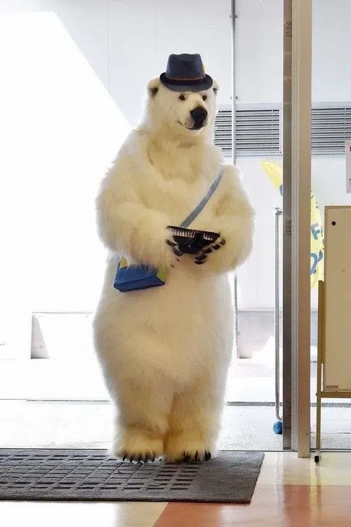 Meme vui gấu nâu lan khắp mạng xã hội