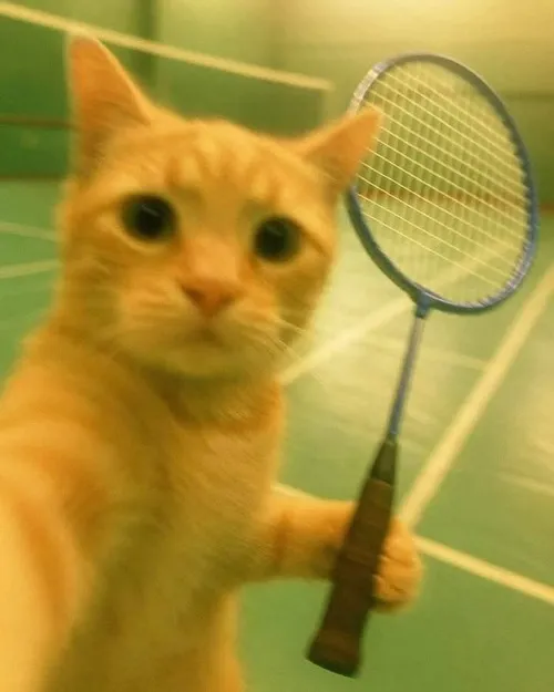 Ảnh vui cú đỡ cầu lệch khiến khán giả vỡ òa