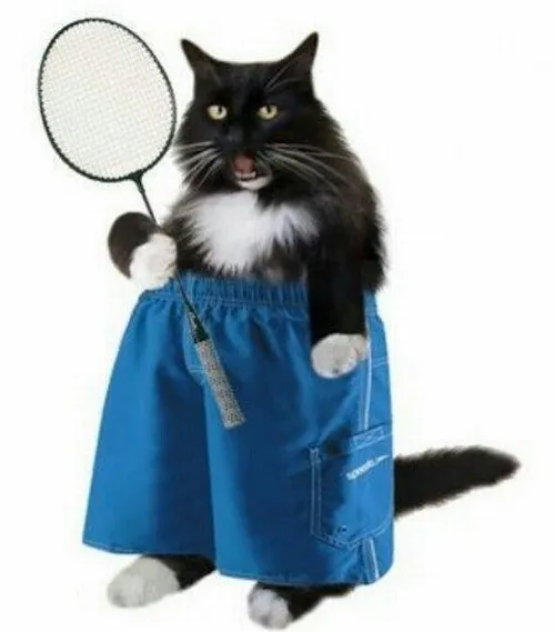 Meme cầu lông vui nhộn khiến đồng đội nào cũng phải tag tên