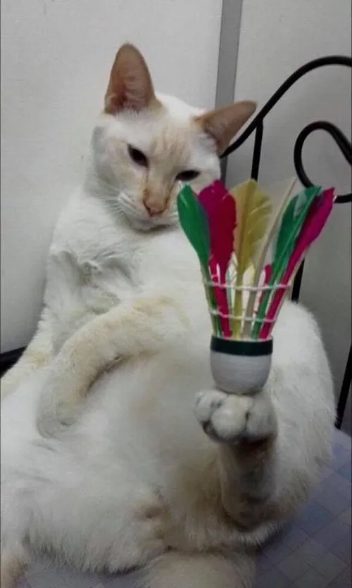 Ảnh troll Carolina Marin hét vang kiểu bá đạo