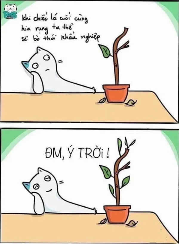 Ảnh vui ý trời nét mặt dở khóc