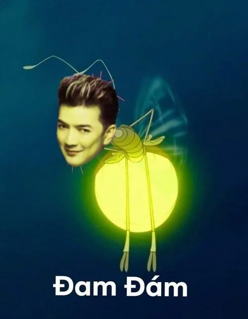 Hình troll Thái Dăn Dắt troll nhìn vô cùng vui