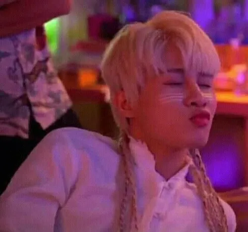 Meme hài Meo Meo troll nhìn cưng xỉu luôn