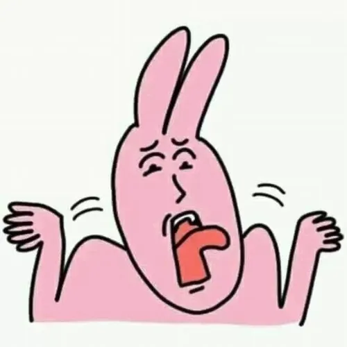 Hình troll thỏ hồng hỏi “tên gì vậy” đầy tò mò