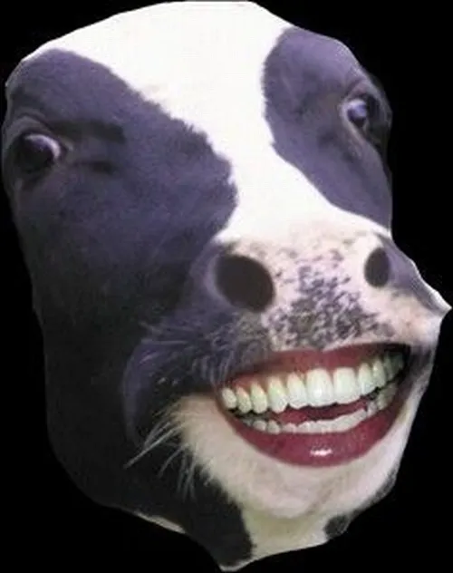 Bộ sưu tập meme con bò cười siêu hài hước